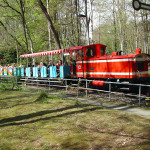 rotelok